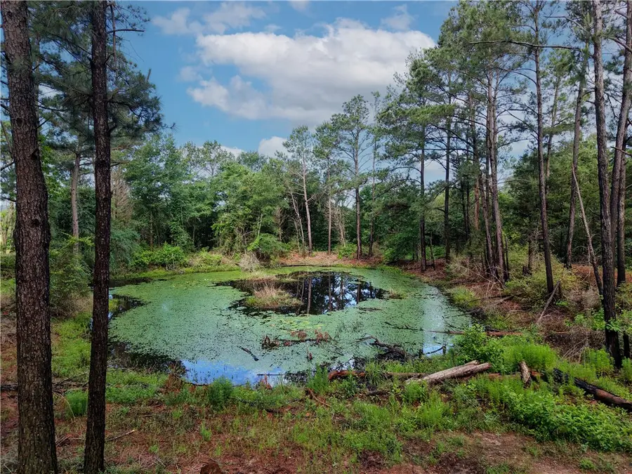 TBD Highway 90 N, Bedias, TX 77831 - #3