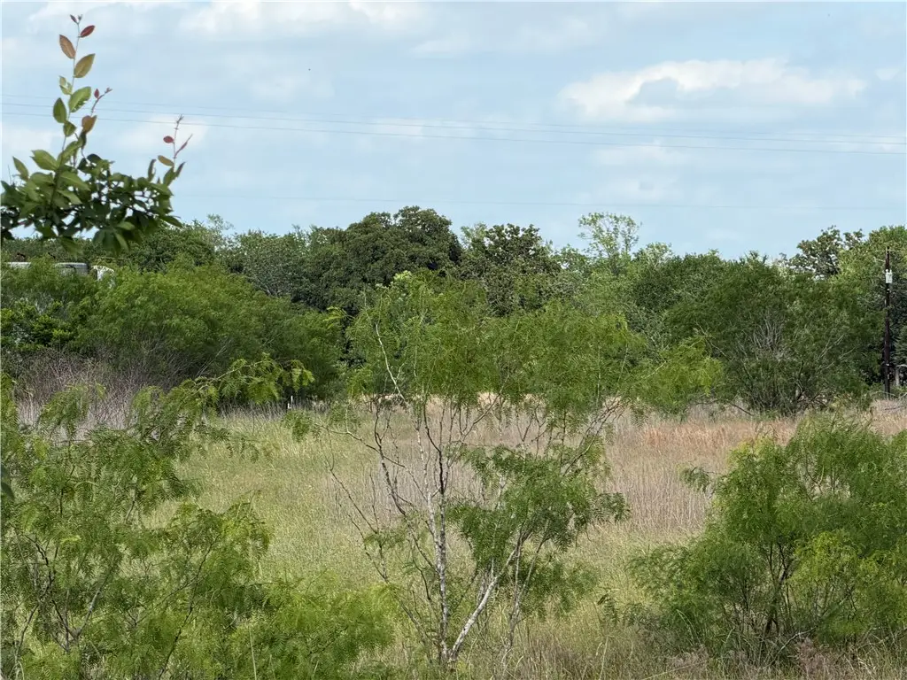 TBD Tonkaway Lake (pvt) Rd, College Station, TX 77845 - #1