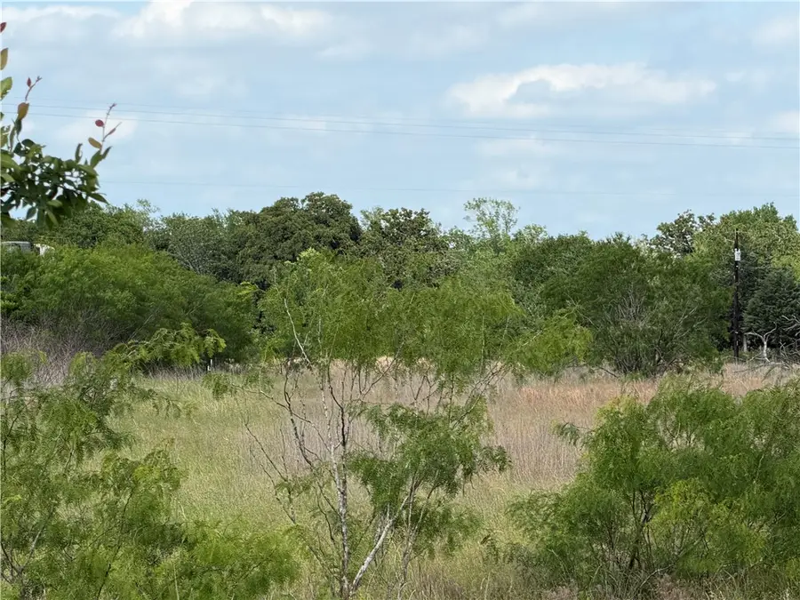 TBD Tonkaway Lake (pvt) Rd, College Station, TX 77845 - #2