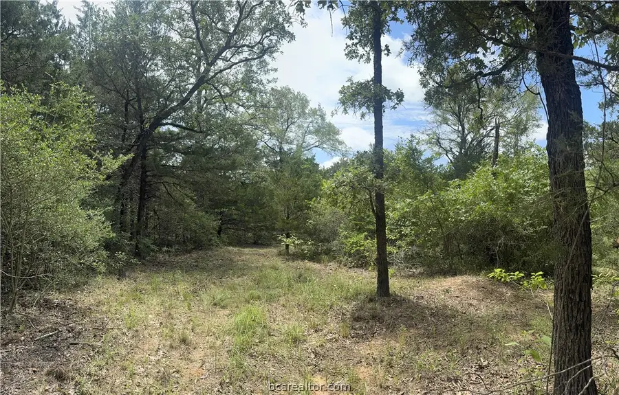 3518 Winding Road, Hearne, TX 77859 - #3