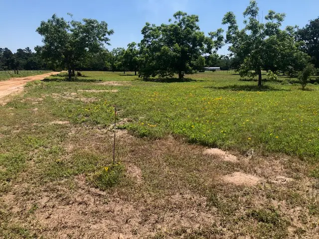 0000 Henry Prairie RD Henry Prairie Rd Countyroad, Franklin, TX 77856 - #2