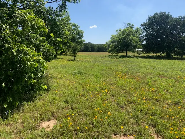 0000 Henry Prairie RD Henry Prairie Rd Countyroad, Franklin, TX 77856 - #3