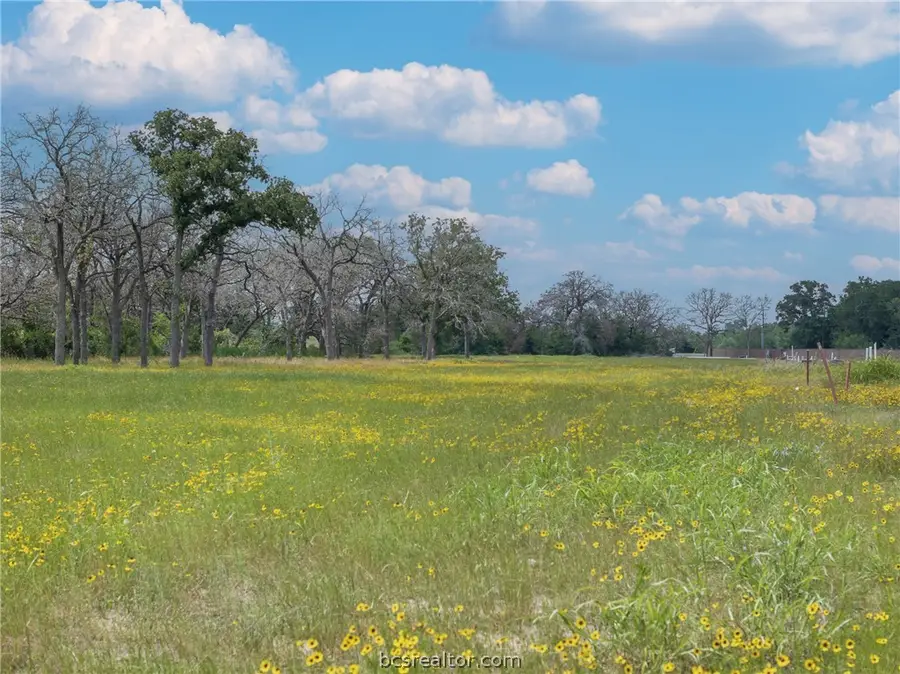 TBD Lot 3 Lake Day Drive, Somerville, TX 77879 - #2