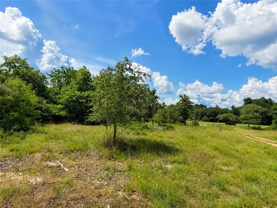 TBD Golf Way Lane, Hilltop Lakes, TX 77871 - #3