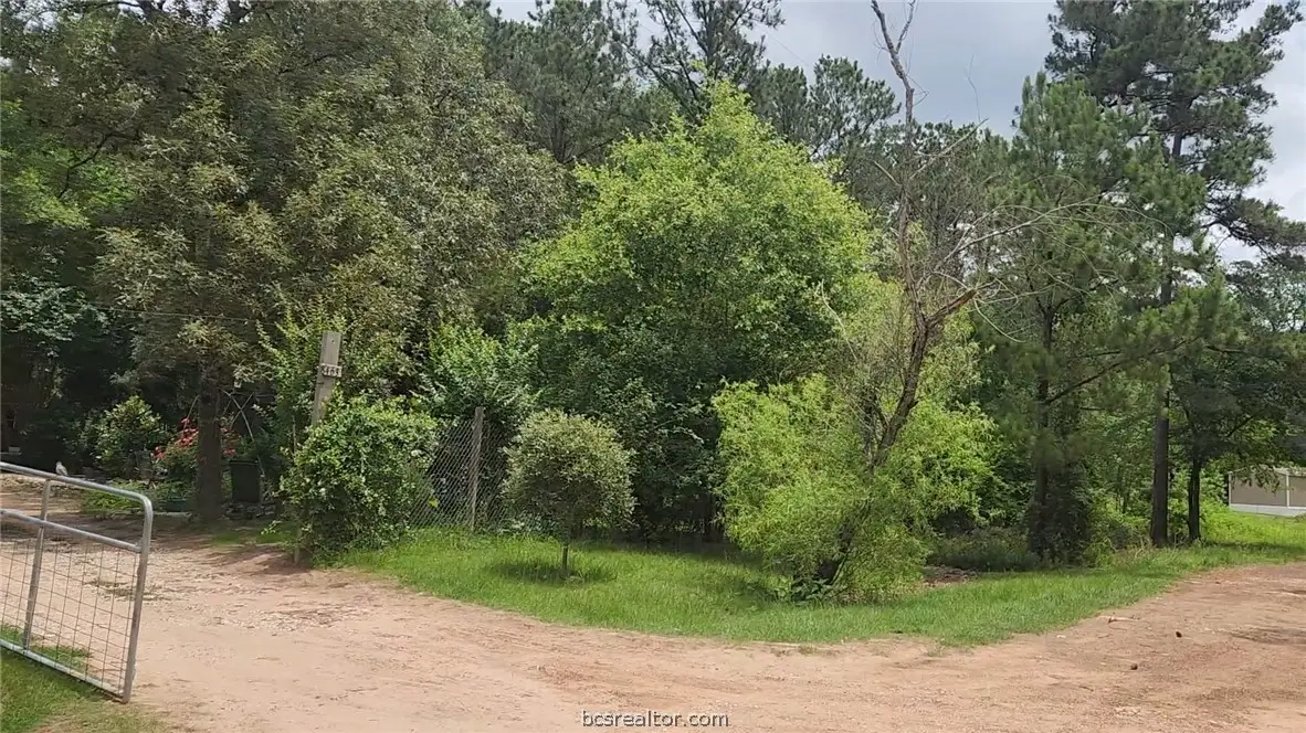 Lot 14 Basswood Lane, Plantersville, TX 77363 - #1