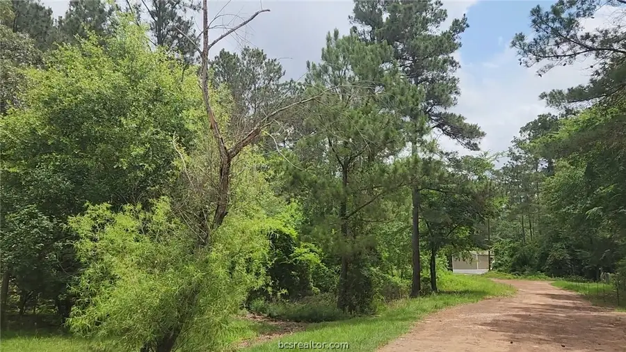 Lot 14 Basswood Lane, Plantersville, TX 77363 - #2