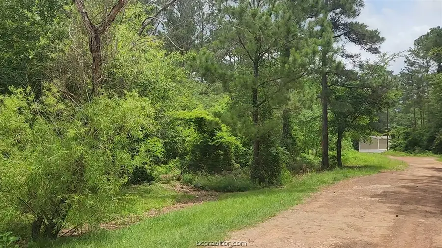 Lot 14 Basswood Lane, Plantersville, TX 77363 - #3