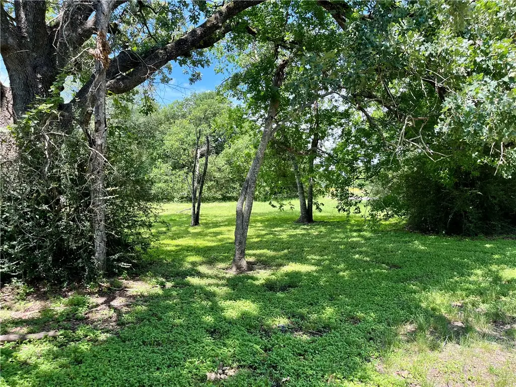 1412 Rollins Avenue, Bryan, TX 77803 - #1