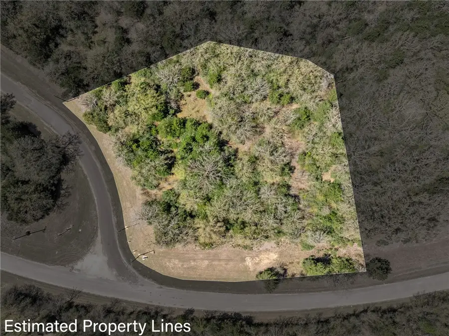 TBD County Road 377, Marquez, TX 77865 - #3