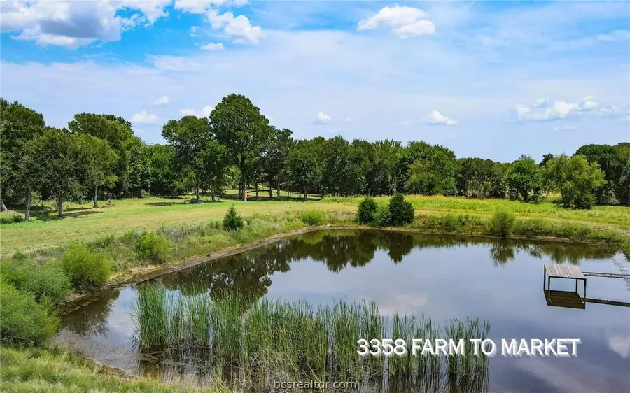 TBD Fm 166 (+/-54 Acres), Caldwell, TX 77836 - #3