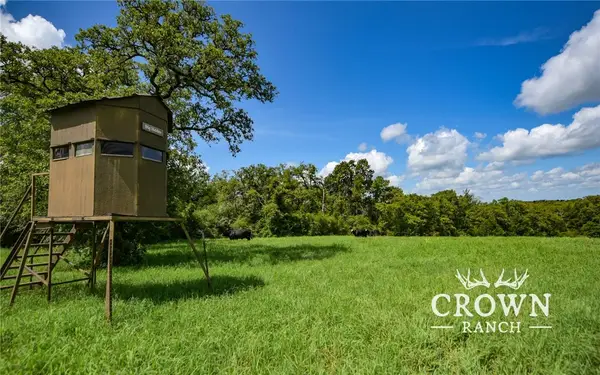 TBD Fm 908 (+/-1,057 Acres), Caldwell, TX 77836