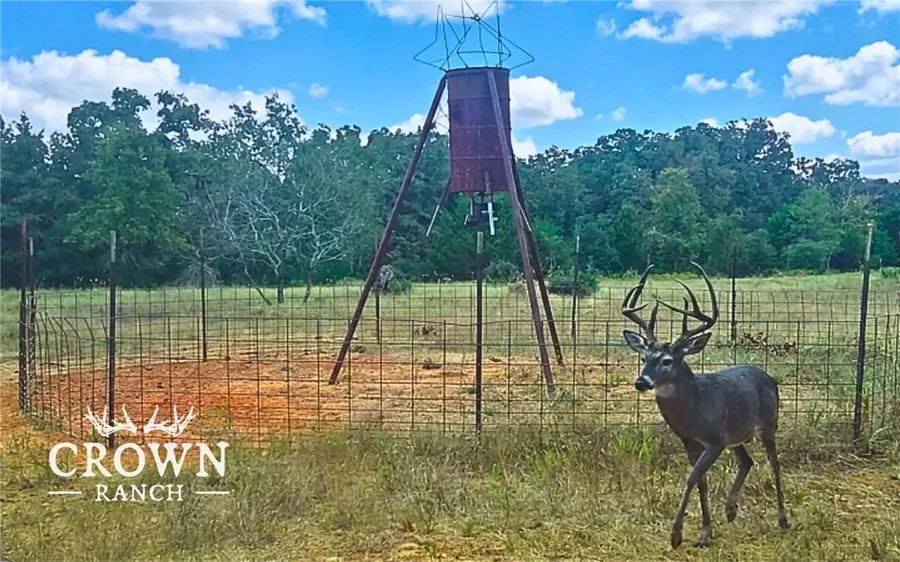 TBD Fm 908 (+/-1,057 Acres), Caldwell, TX 77836 - #3