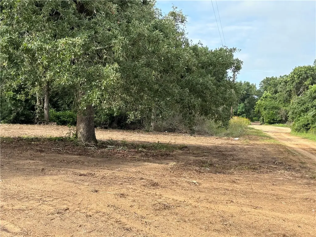 385 Dogwood Drive, Caldwell, TX 77836 - #1