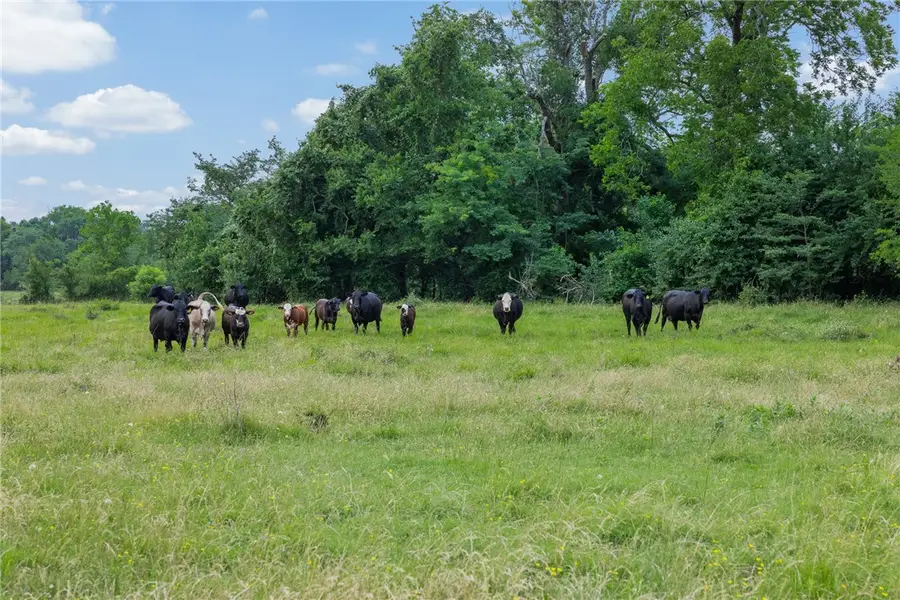 1111 Fm 1486, Richards, TX 77873 - #2