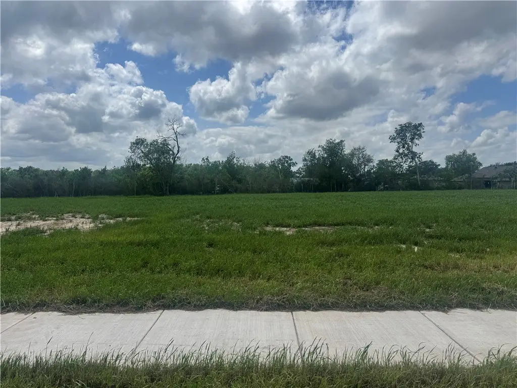 2314 Pagosa Springs Drive, Bryan, TX 77803 - #1
