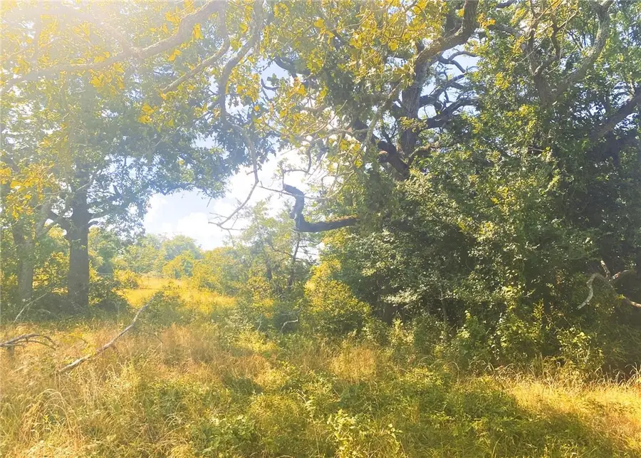 10830 Whiterock Road, Bremond, TX 76629 - #2