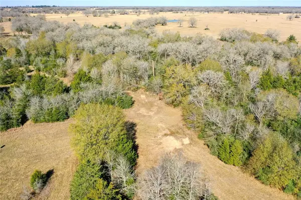 5 acres Manning Lane, Madisonville, TX 77864