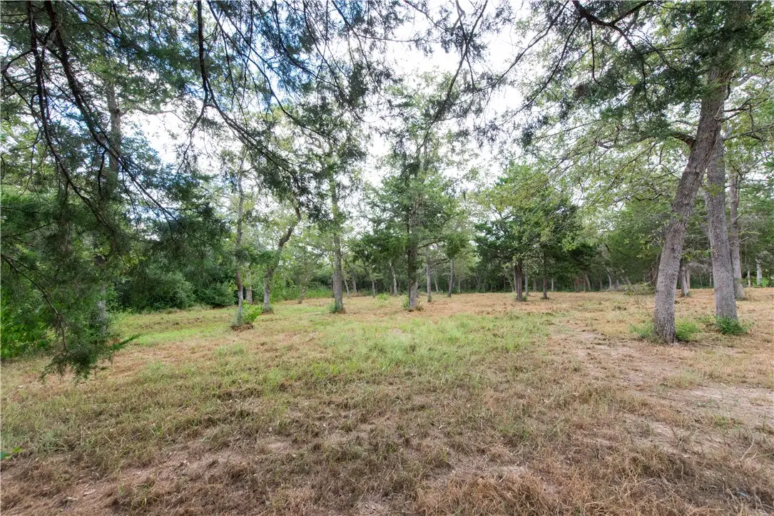 TBD Grape Cir (1.2 Acres), Somerville, TX 77879 - #1