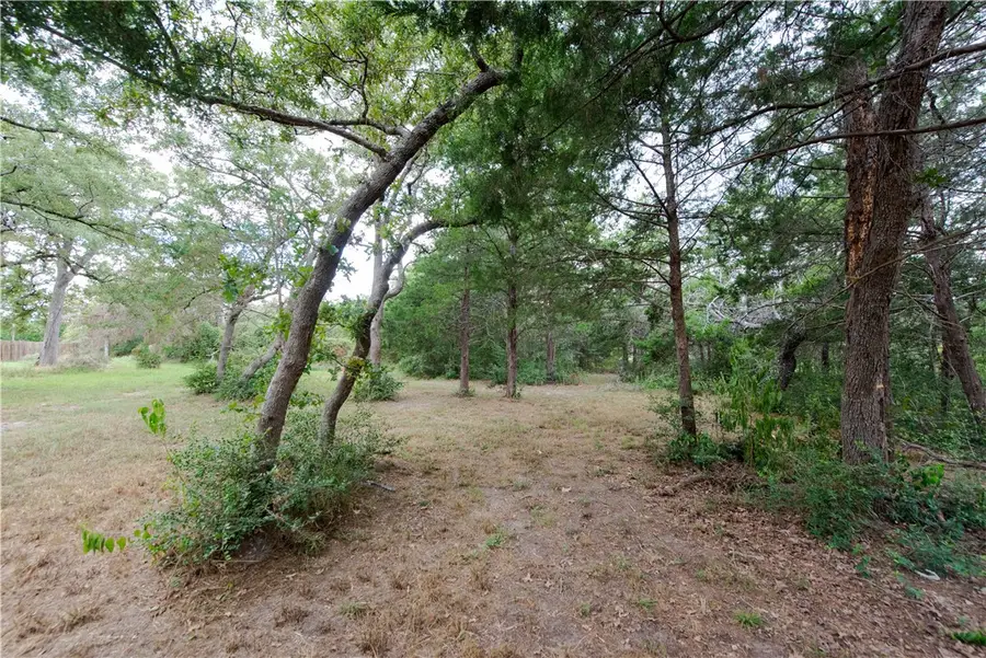 TBD Grape Cir (1.2 Acres), Somerville, TX 77879 - #3