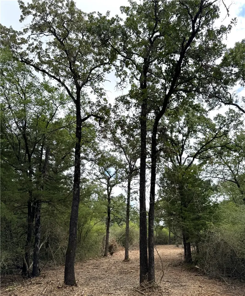 TBD Pin Oak Road, Franklin, TX 77856 - #3