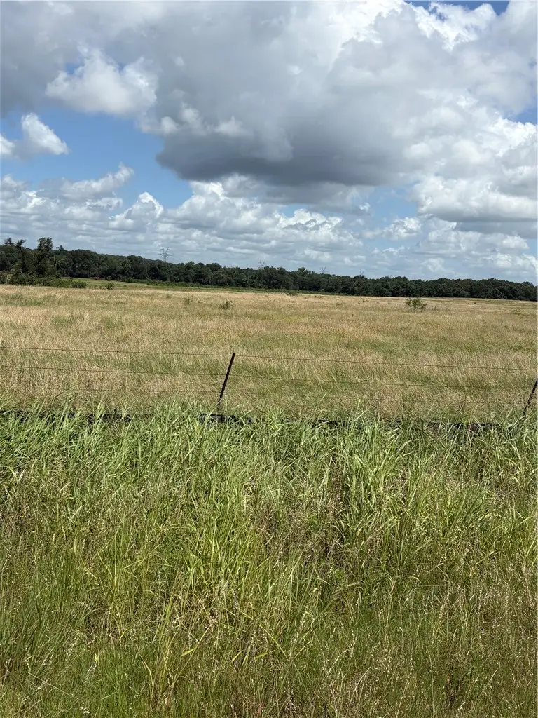 TBD E Fm 2293 Ne, Bremond, TX 76629 - #1