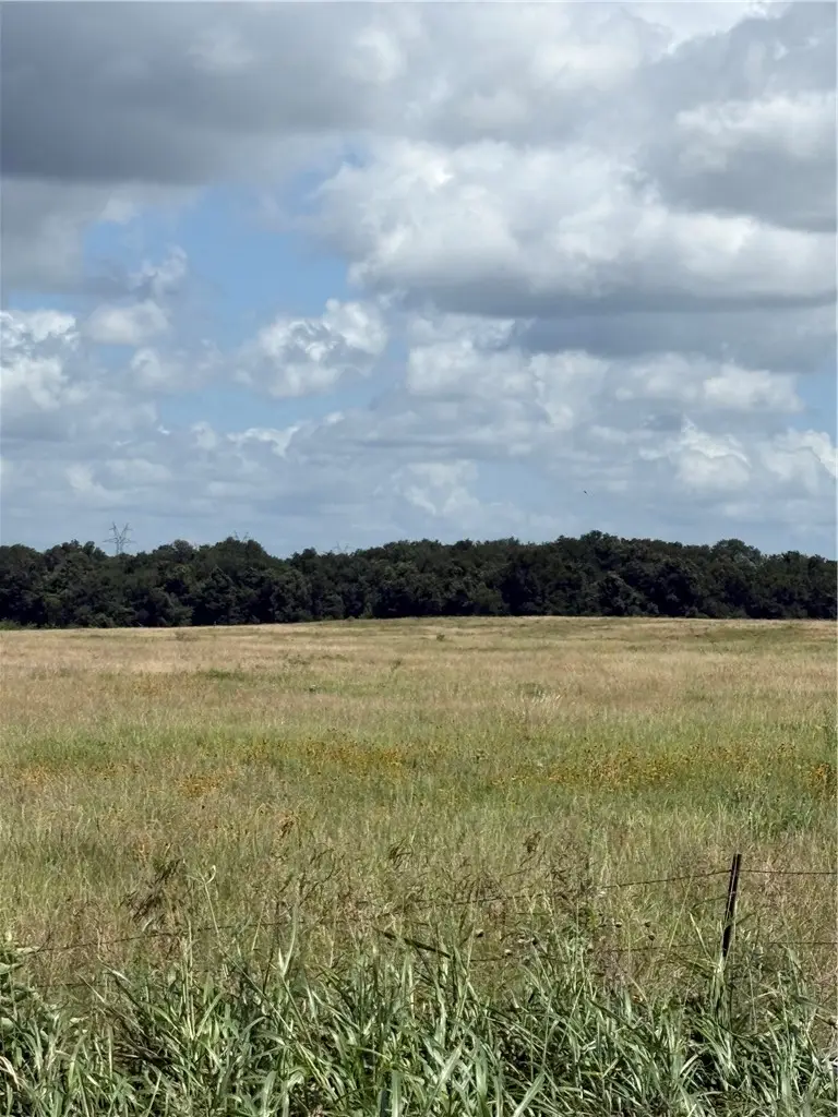 TBD E Fm 2293 Ne, Bremond, TX 76629 - #2