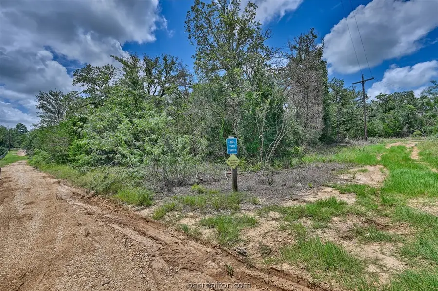 Lots 318, 319 & 320 Eagle Trail, Caldwell, TX 77836 - #2