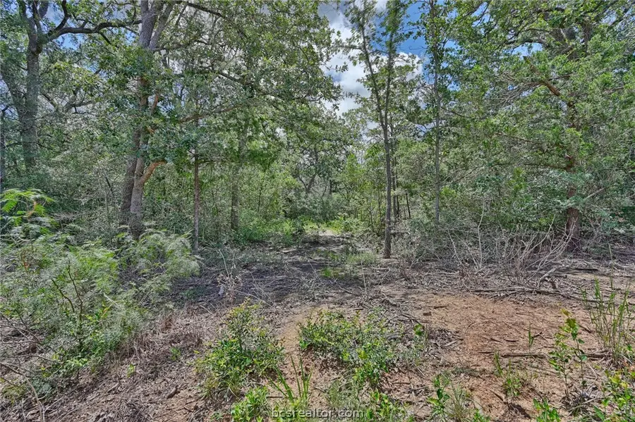 Lots 318, 319 & 320 Eagle Trail, Caldwell, TX 77836 - #3