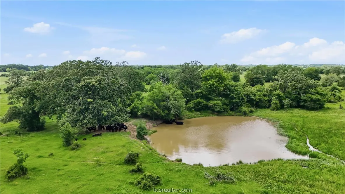 Tract 4 Holly Cemetery Road, Franklin, TX 77856 - #1