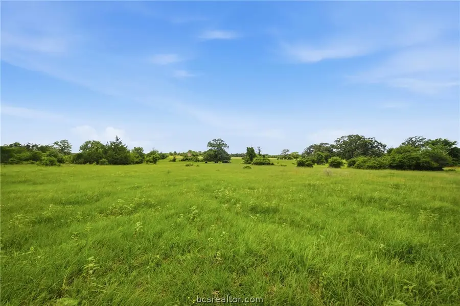 Tract 5 Holly Cemetery Road, Franklin, TX 77856 - #3