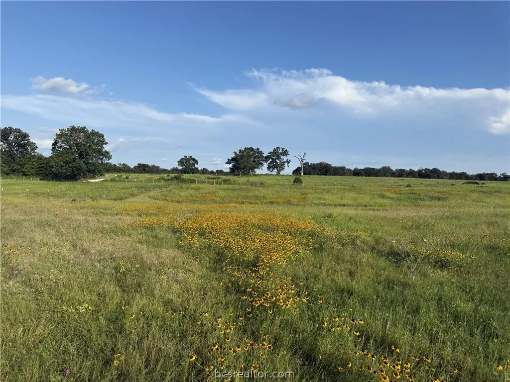 13589 S Cr 476 Reagan Loop Countyroad S, Franklin, TX 77856 - #1