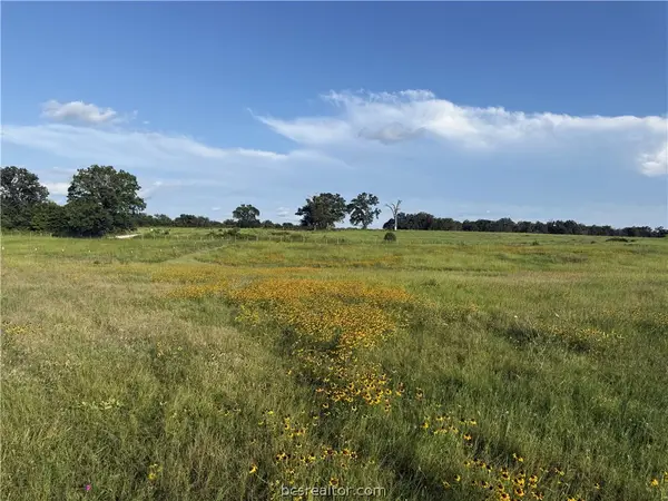 13589 S Cr 476 Reagan Loop Countyroad S, Franklin, TX 77856
