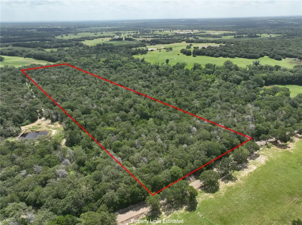 +- 15 Acres County Road 333, Caldwell, TX 77836 - #1