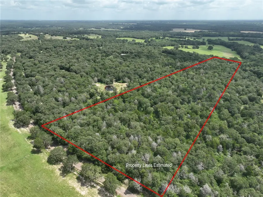 +- 15 Acres County Road 333, Caldwell, TX 77836 - #2