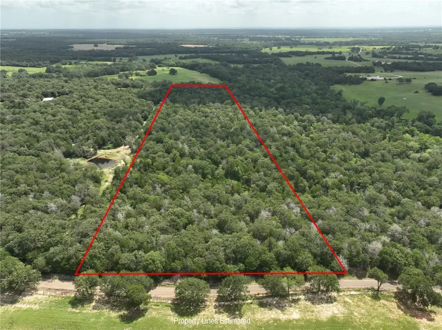 +- 15 Acres County Road 333, Caldwell, TX 77836 - #3