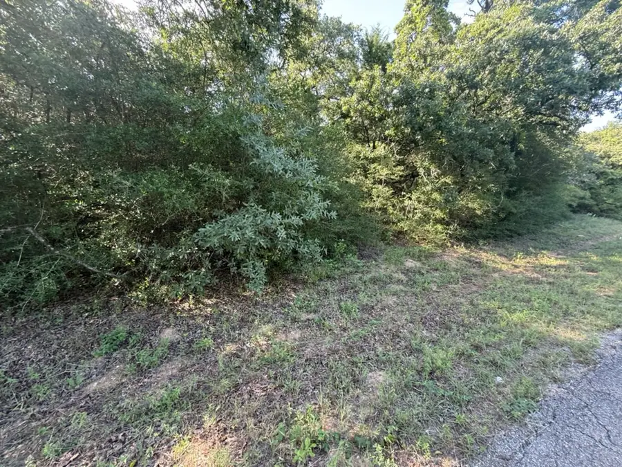 TBD Hilltop Drive, Hilltop Lakes, TX 77871 - #3