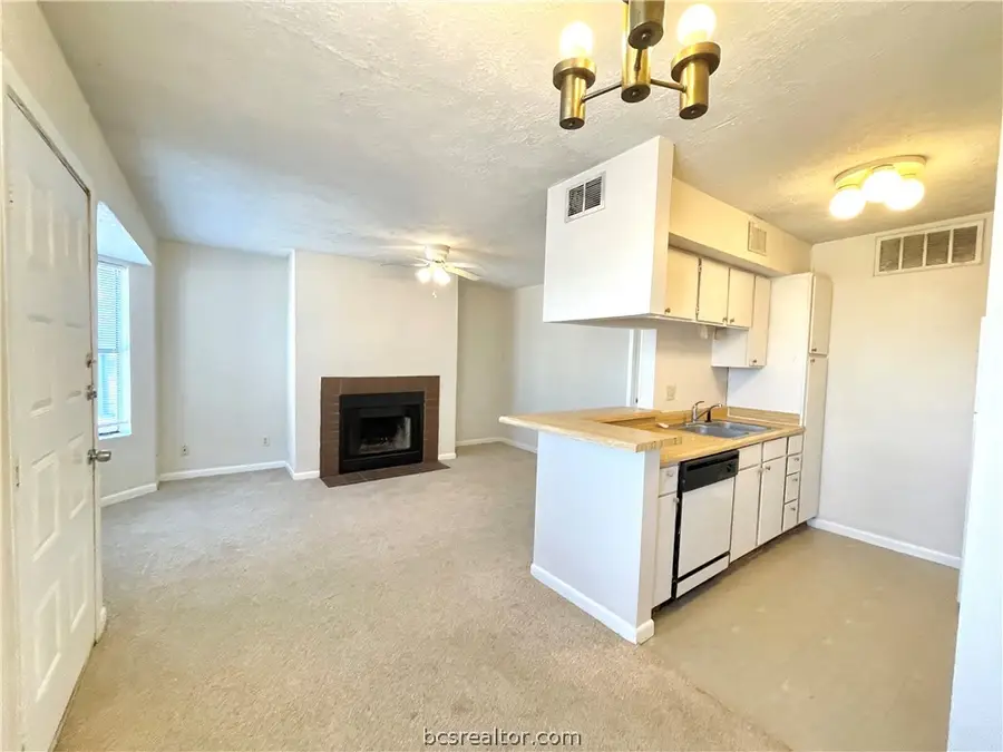 4441 Old College #2206, Bryan, TX 77801 - #3