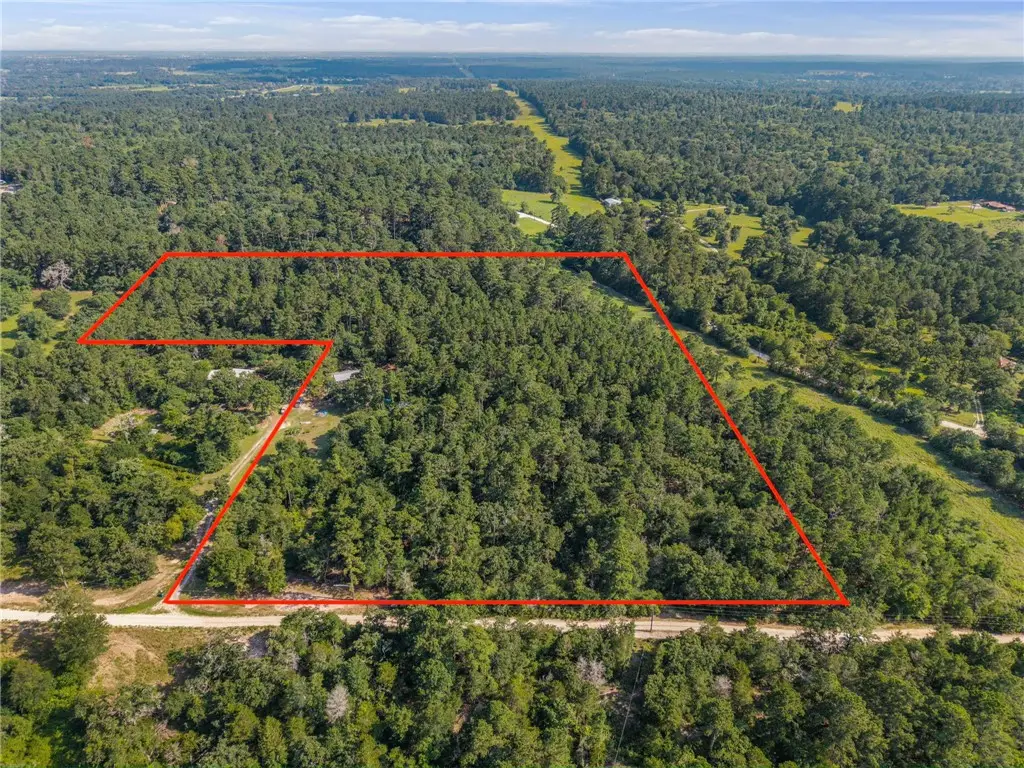 1885 Double Price Lane, Bedias, TX 77831 - #1