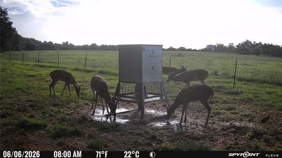 5409 Fm 979 (lot 1), Cameron, TX 76520 - #2