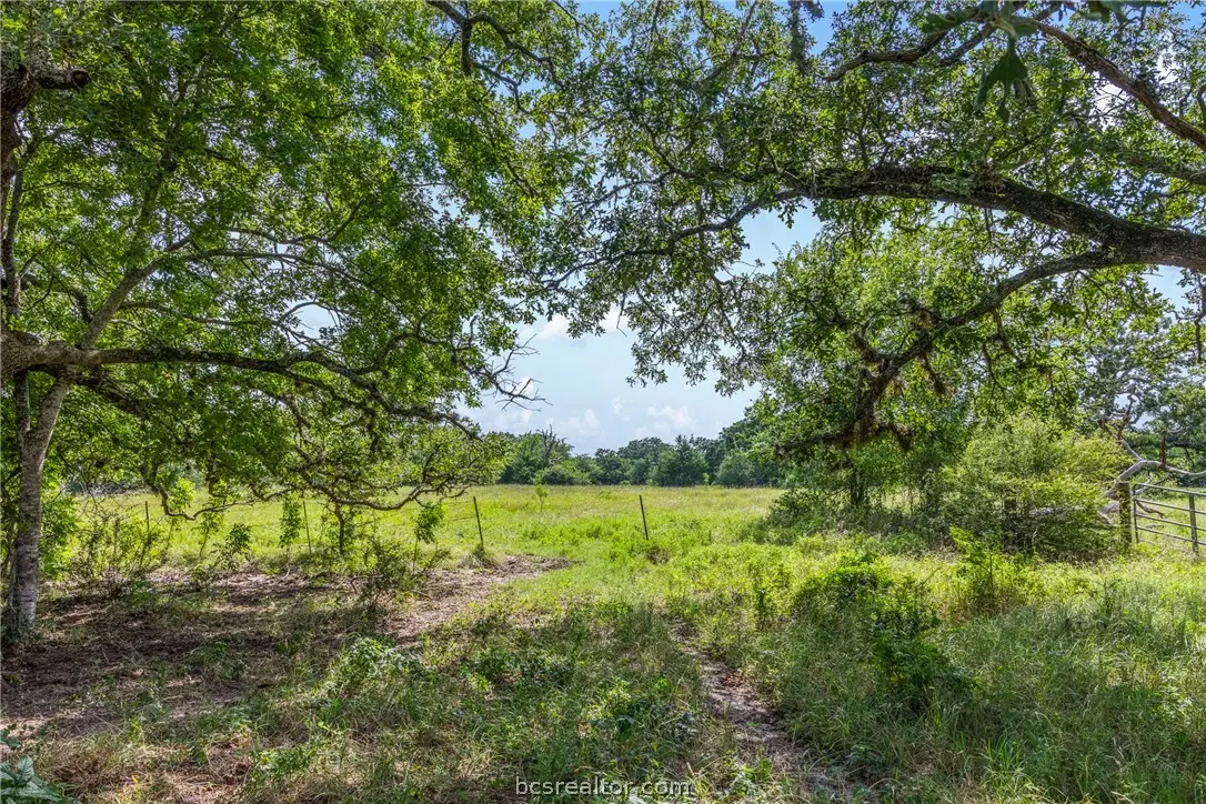 11504 N Dowling Road, College Station, TX 77845 - #1