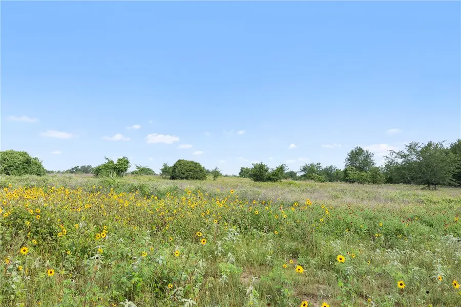 5241 County Road 358, Caldwell, TX 77836 - #2