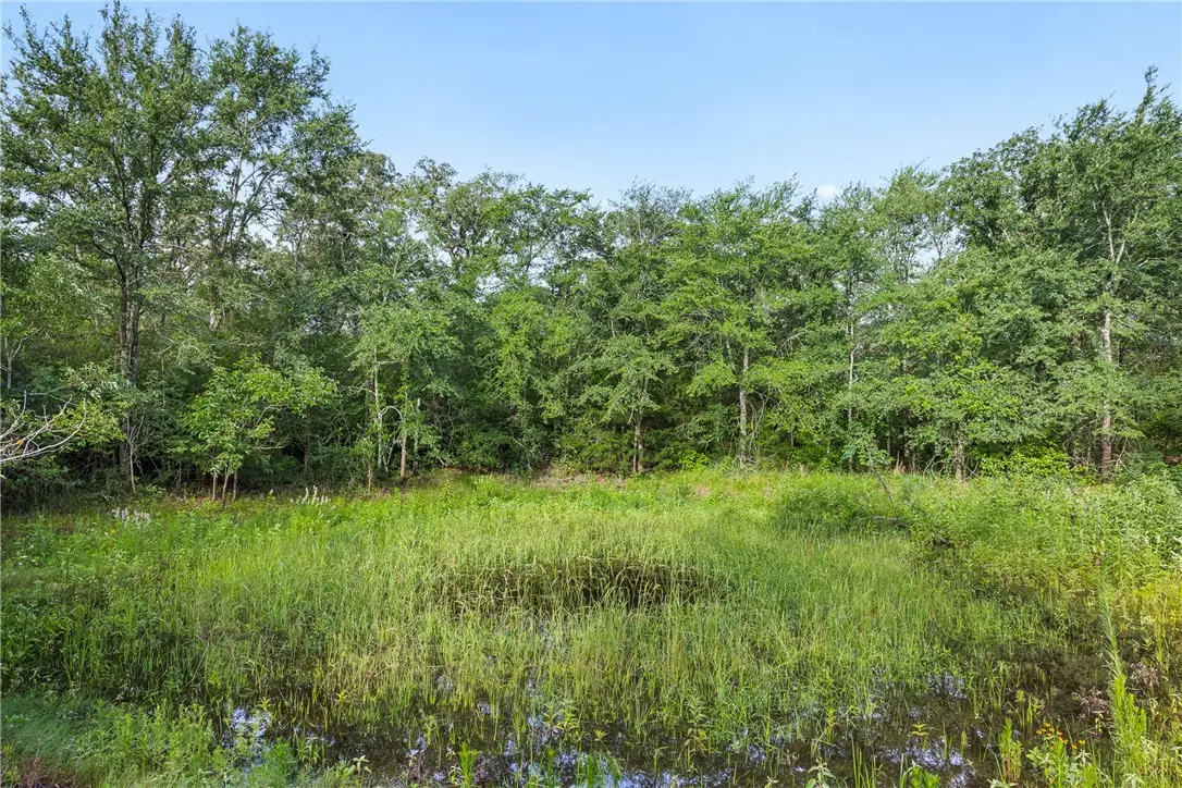 5163 County Road 358, Caldwell, TX 77836 - #1