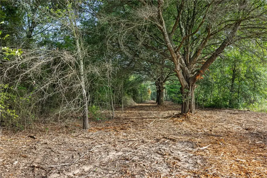 5163 County Road 358, Caldwell, TX 77836 - #3
