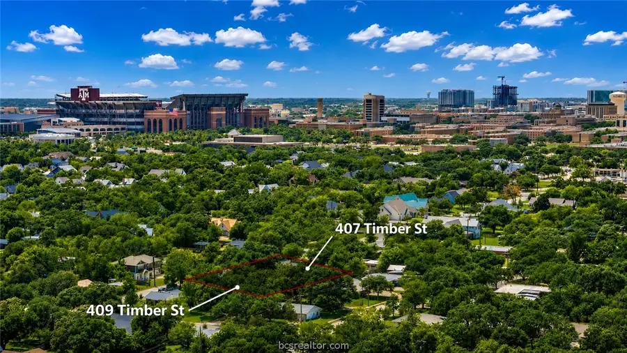 409 Timber Street, College Station, TX 77840 - #2