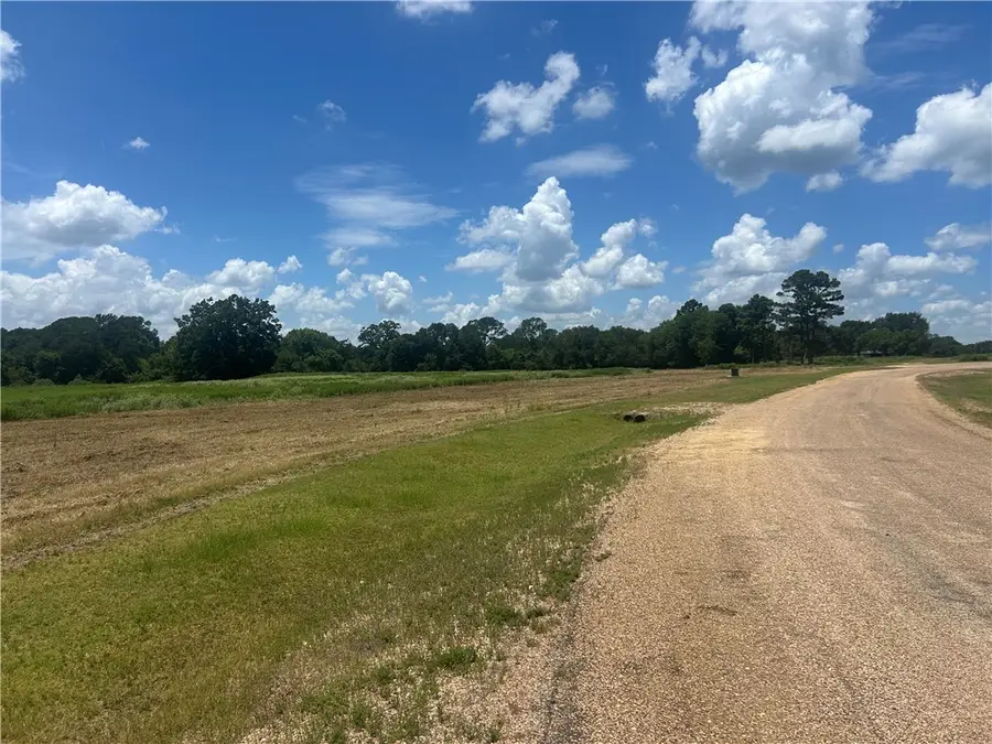 Track 4 Hudson Farms Rd, Franklin, TX 77856 - #3