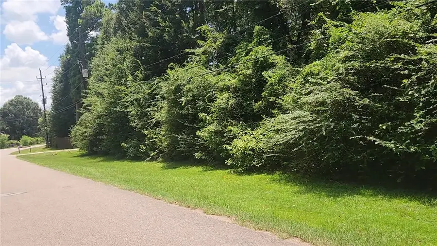 TBD Terri Lane, Magnolia, TX 77355 - #3