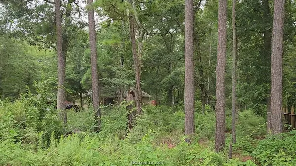 Lot 38 White Oak Drive, Plantersville, TX 77363
