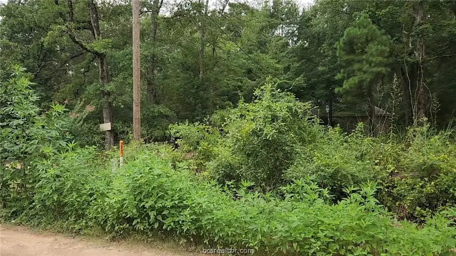 Lot 38 White Oak Drive, Plantersville, TX 77363 - #2
