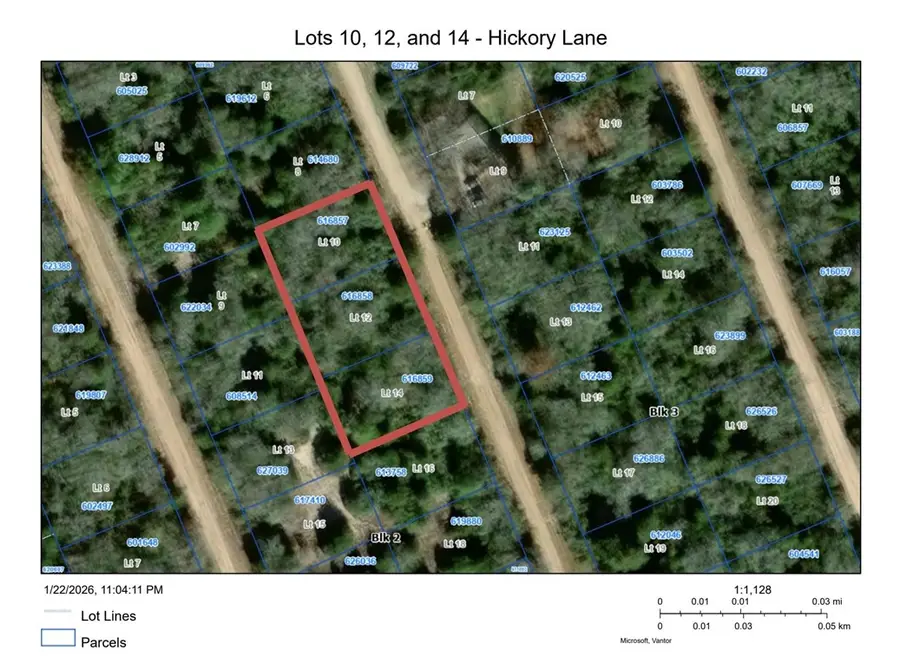 TBD Hickory Lane, Hilltop Lakes, TX 77871 - #3