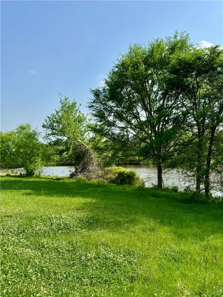 15420 Arhopulos Road, College Station, TX 77845 - #1